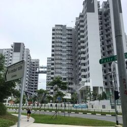 Pasir Ris Heights (D18), Condominium #567531991